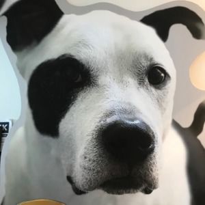 Meet your Posher, Jeffrey